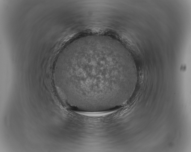 X0000090441249200707201246