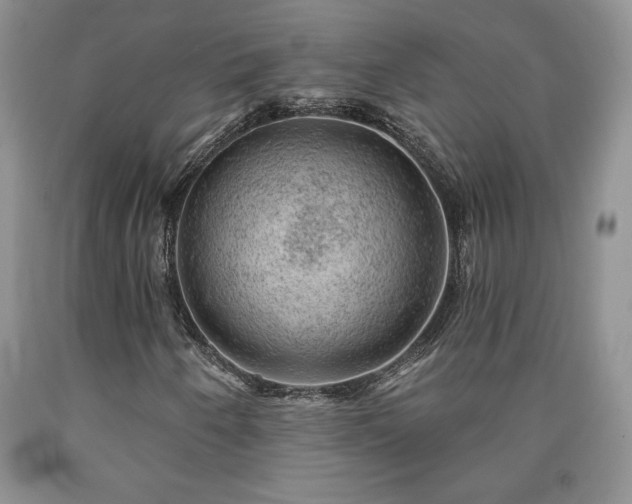 X0000090441250200707201246