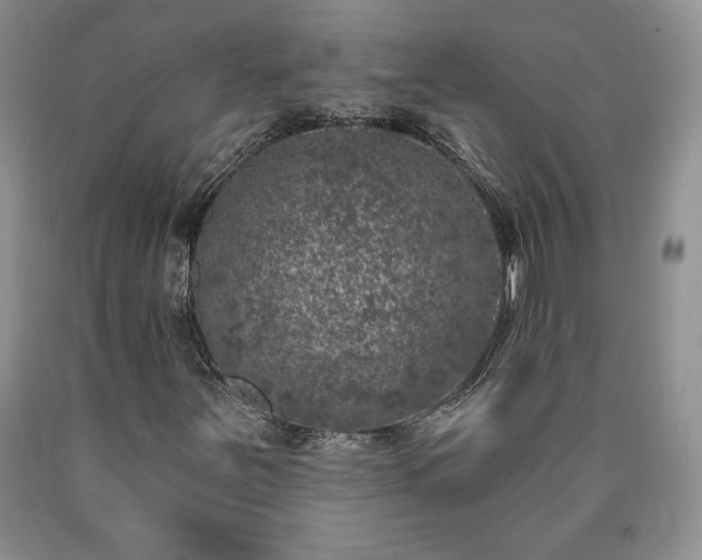 X0000090441251200707201246