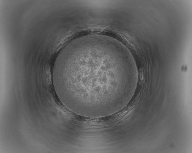 X0000090441252200707201246