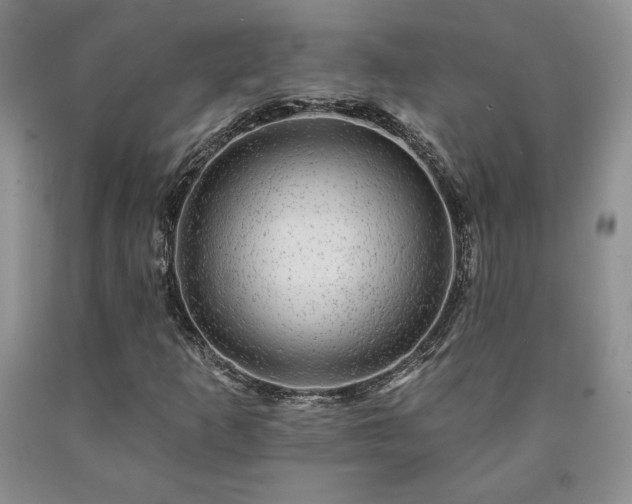 X0000090441253200707201246