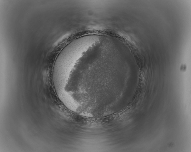 X0000090441254200707201246