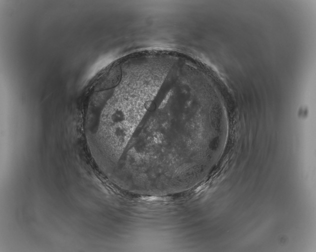 X0000090441255200707201246