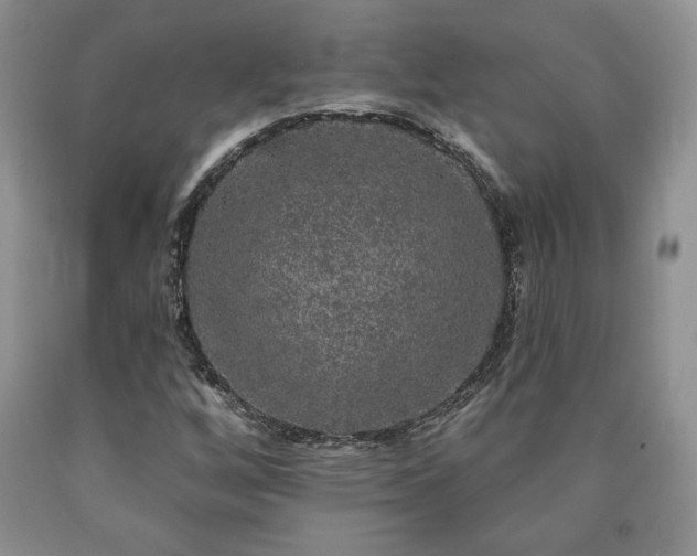 X0000090441256200707201246