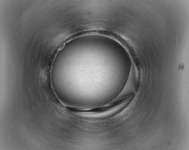 X0000090441257200707201246