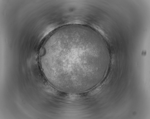 X0000090441258200707201246