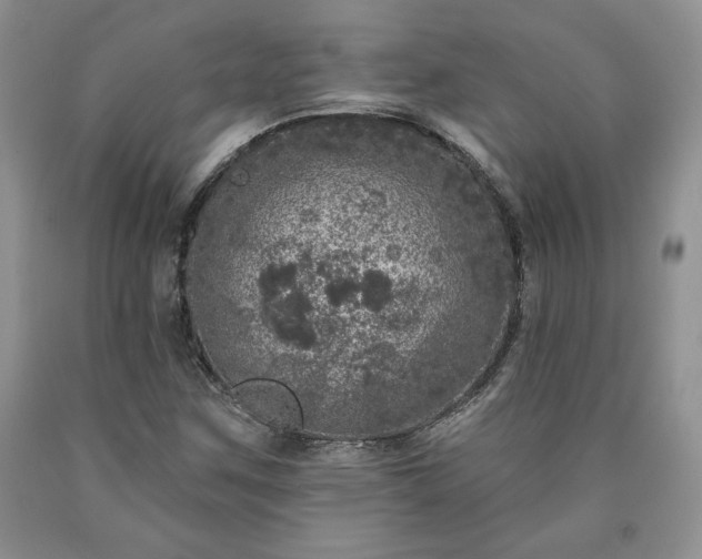 X0000090441259200707201246