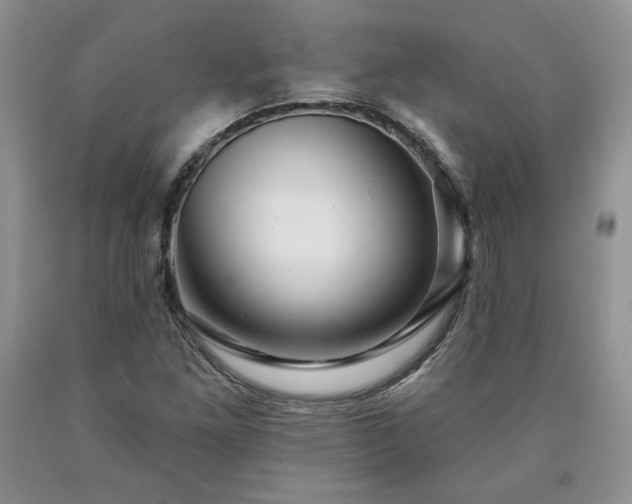 X0000090441261200707201246