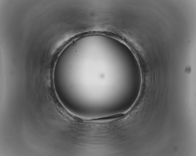 X0000090441262200707201246