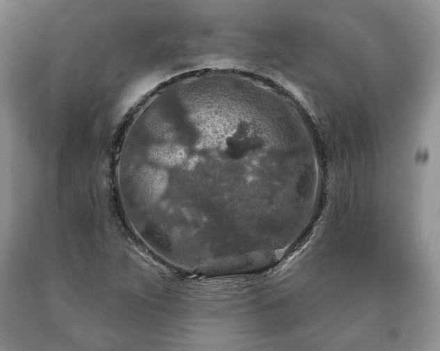 X0000090441263200707201246