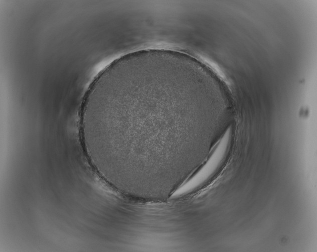 X0000090441264200707201246