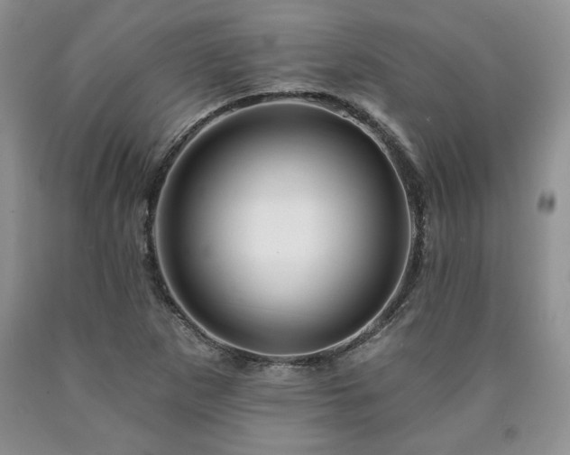 X0000090441265200707201246