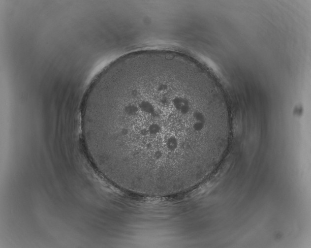 X0000090441267200707201246