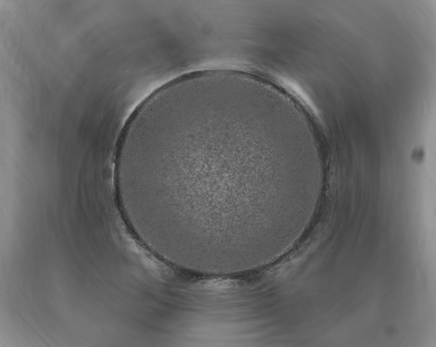 X0000090441268200707201246