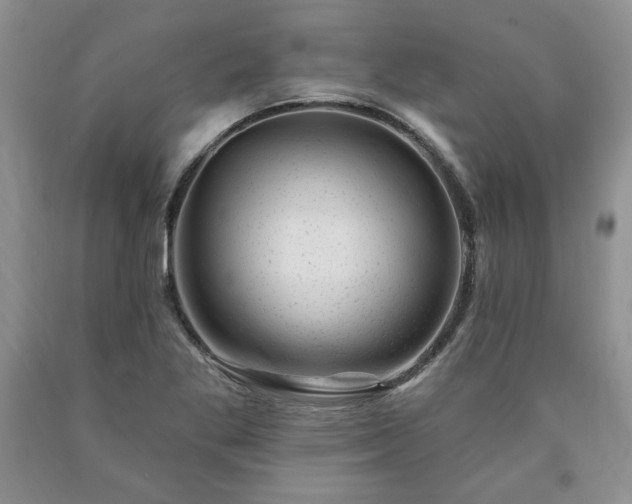 X0000090441269200707201246