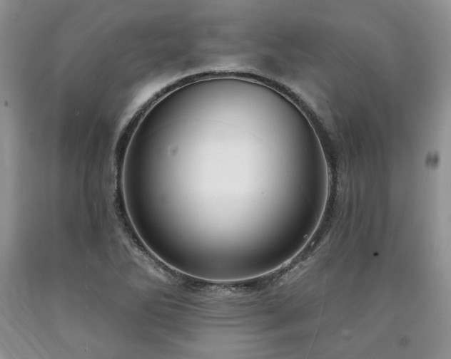 X0000090441270200707201246