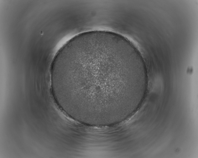 X0000090441271200707201246