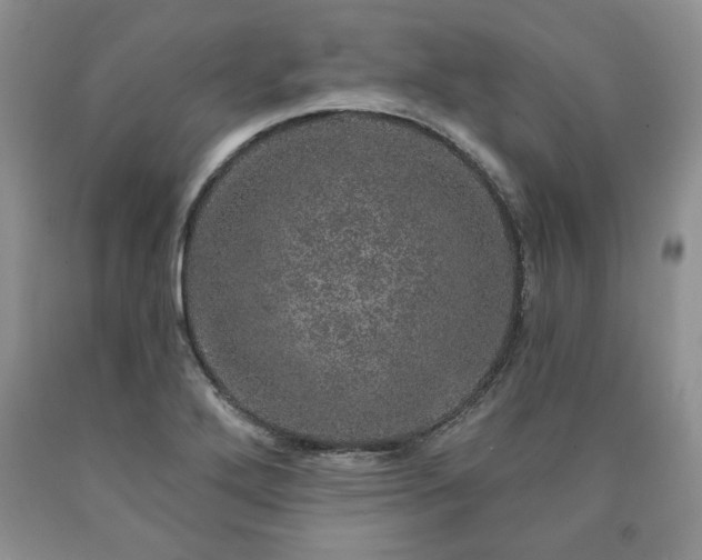 X0000090441272200707201246