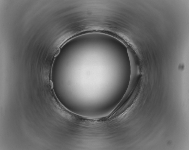 X0000090441273200707201246