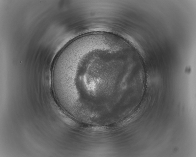 X0000090441274200707201246