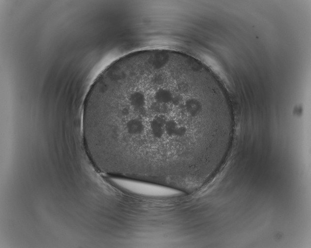 X0000090441275200707201246