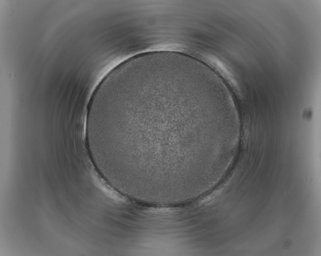 X0000090441276200707201246