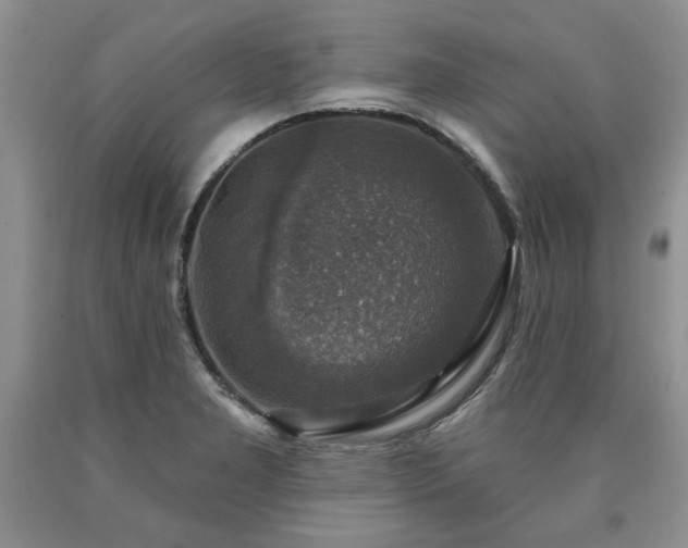 X0000090441277200707201246