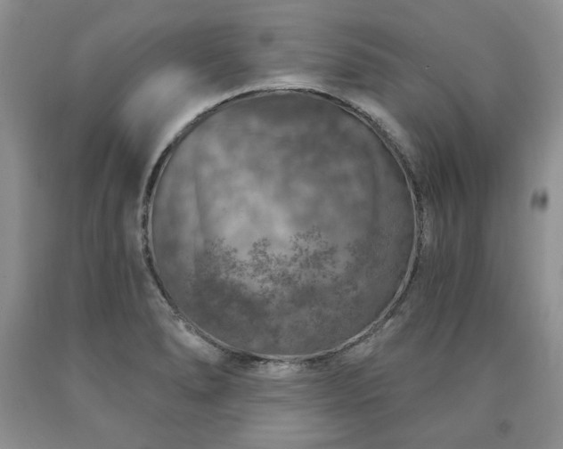 X0000090441278200707201246