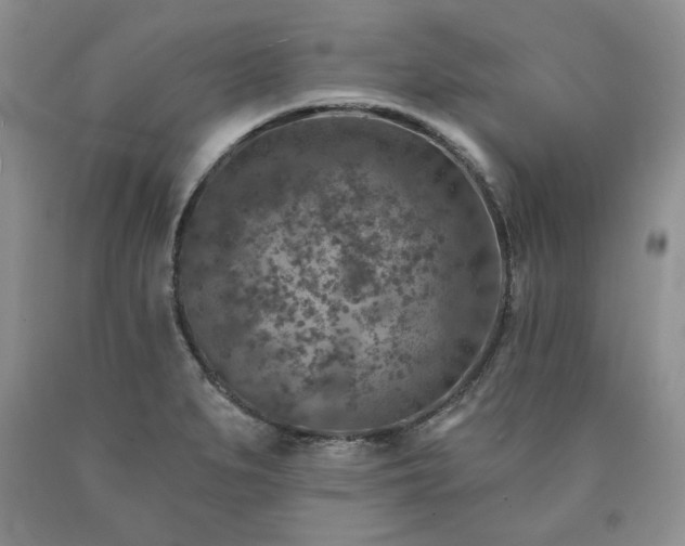 X0000090441279200707201246