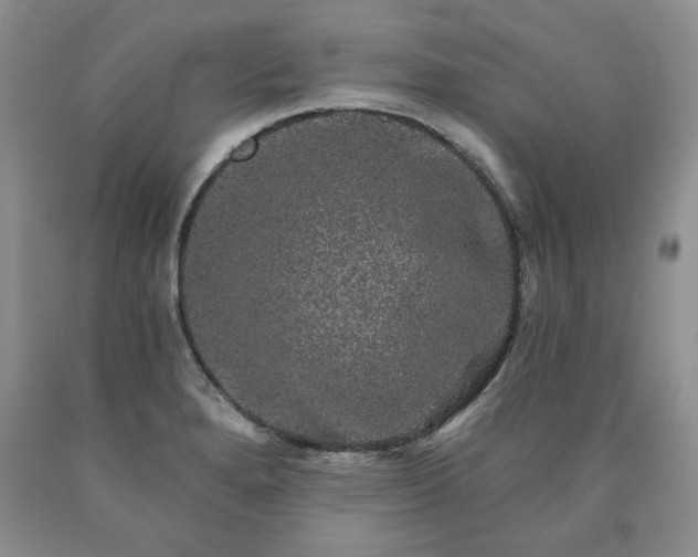 X0000090441280200707201246