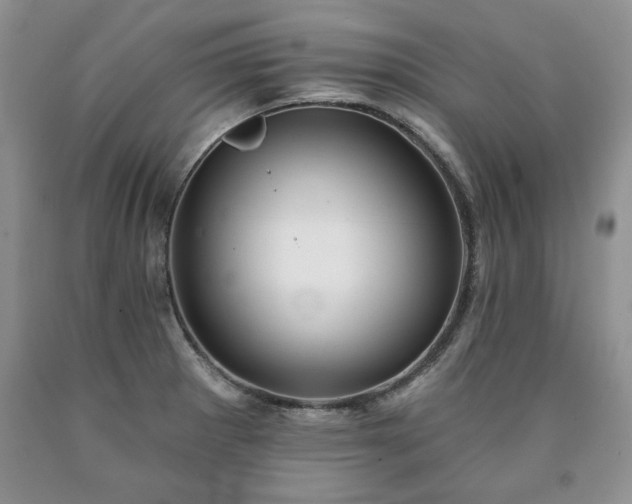 X0000090441281200707201246