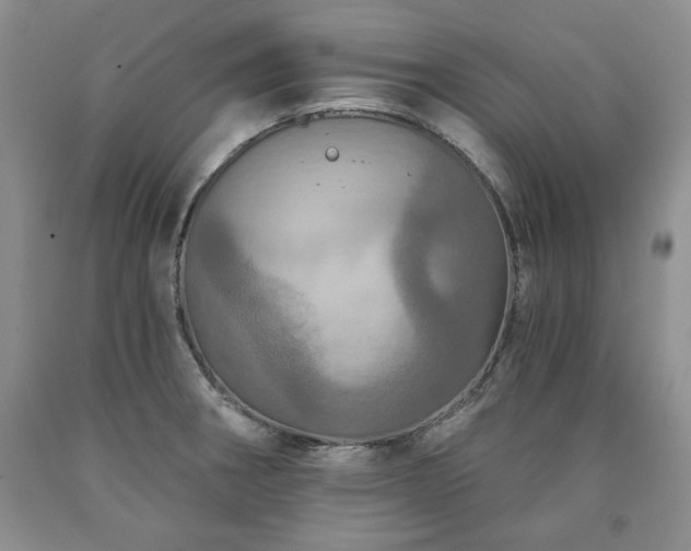 X0000090441282200707201245