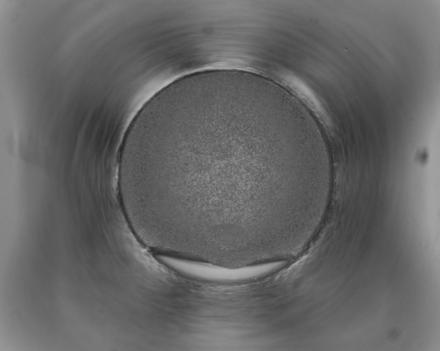 X0000090441284200707201245