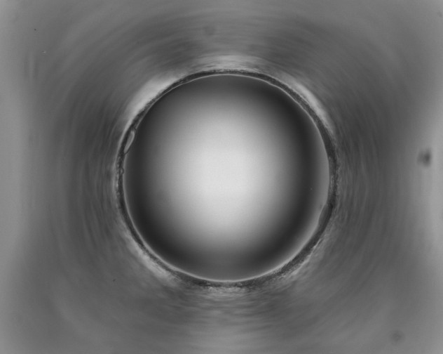 X0000090441285200707201245