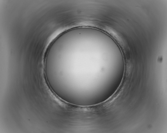 X0000090441286200707201245