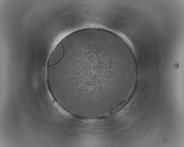 X0000090441287200707201245