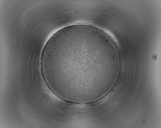 X0000090441288200707201245