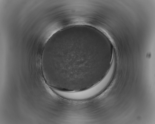 X0000090441289200707201245