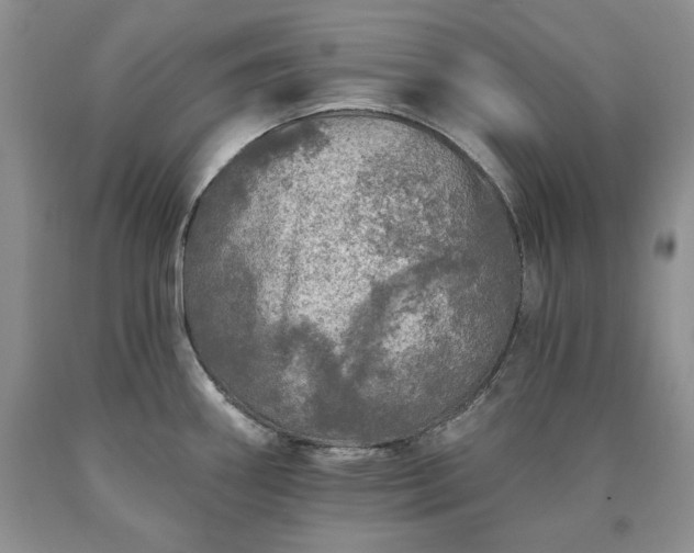 X0000090441290200707201245