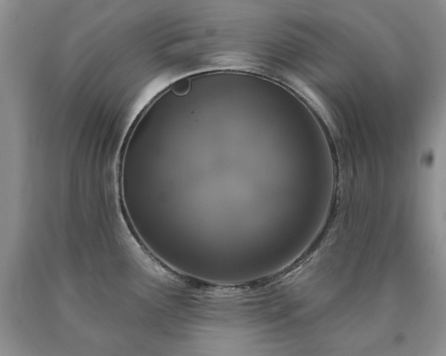 X0000090441291200707201245