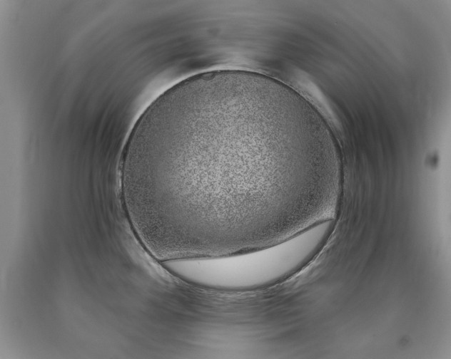 X0000090441292200707201245