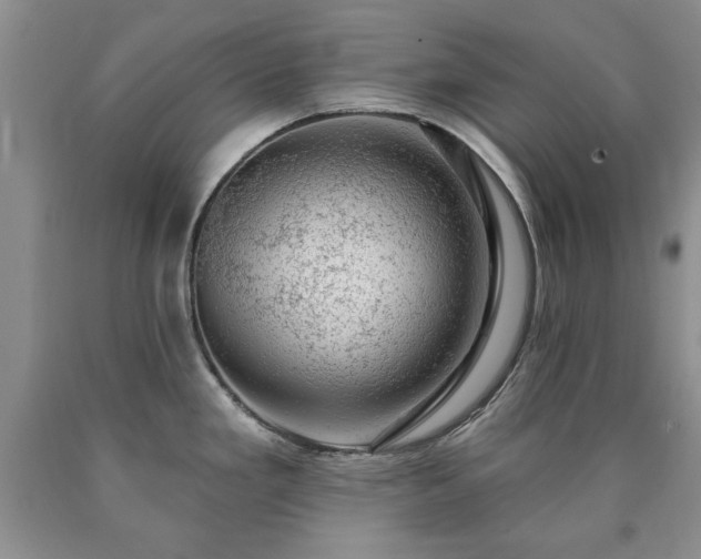 X0000090441293200707201245