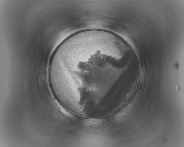 X0000090441294200707201245