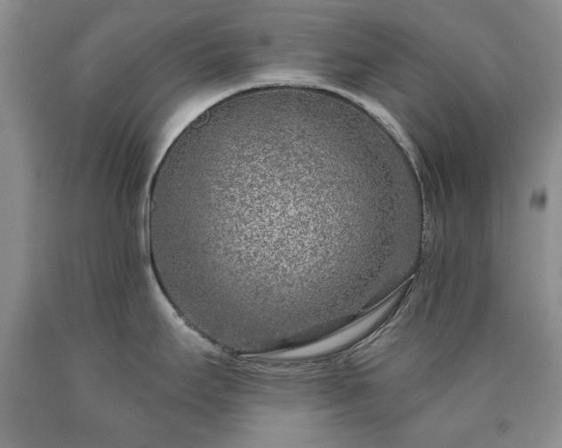 X0000090441295200707201245