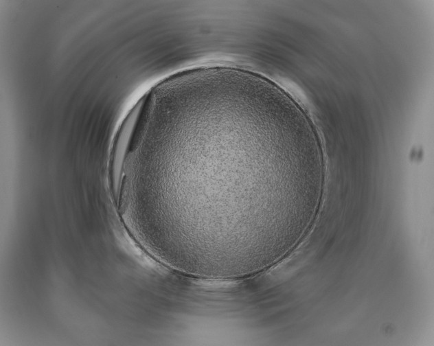 X0000090441296200707201245