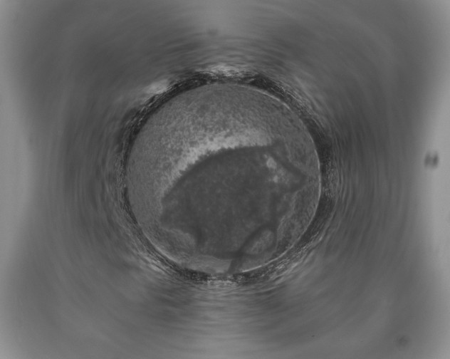 X0000090441297200707201245