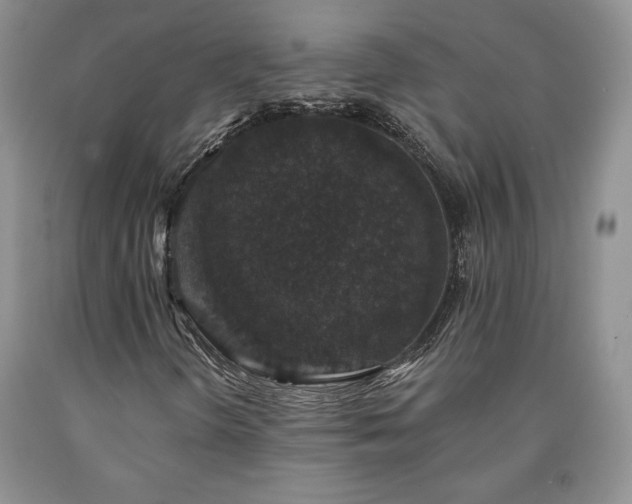 X0000090441298200707201245