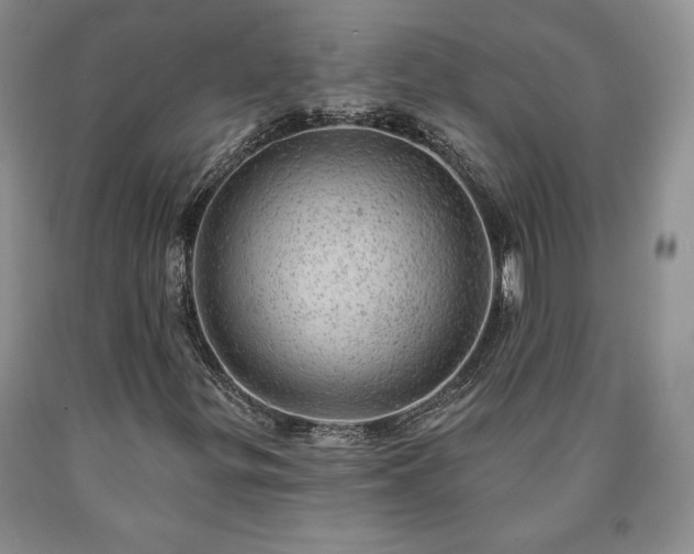 X0000090441299200707201245