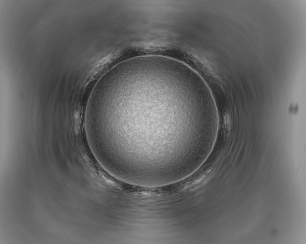 X0000090441300200707201245