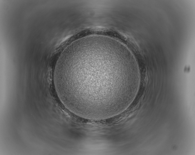 X0000090441301200707201245